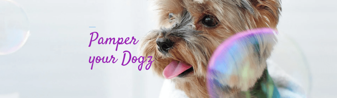 Dog grooming
