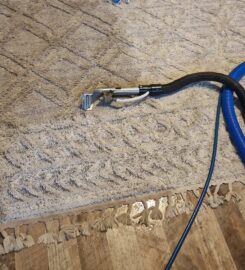 The Carpet And Upholstery Cleaners