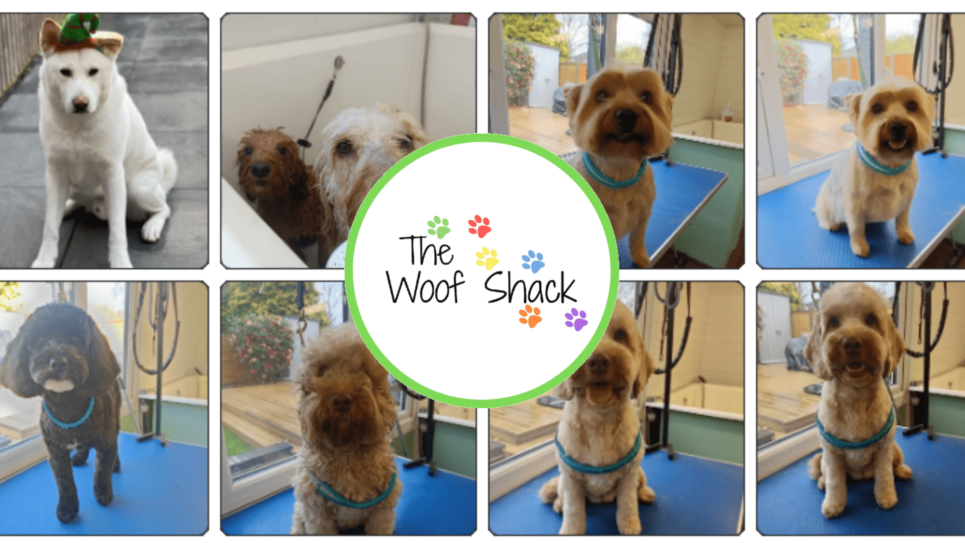 Woofshack Banner NortonCanesa