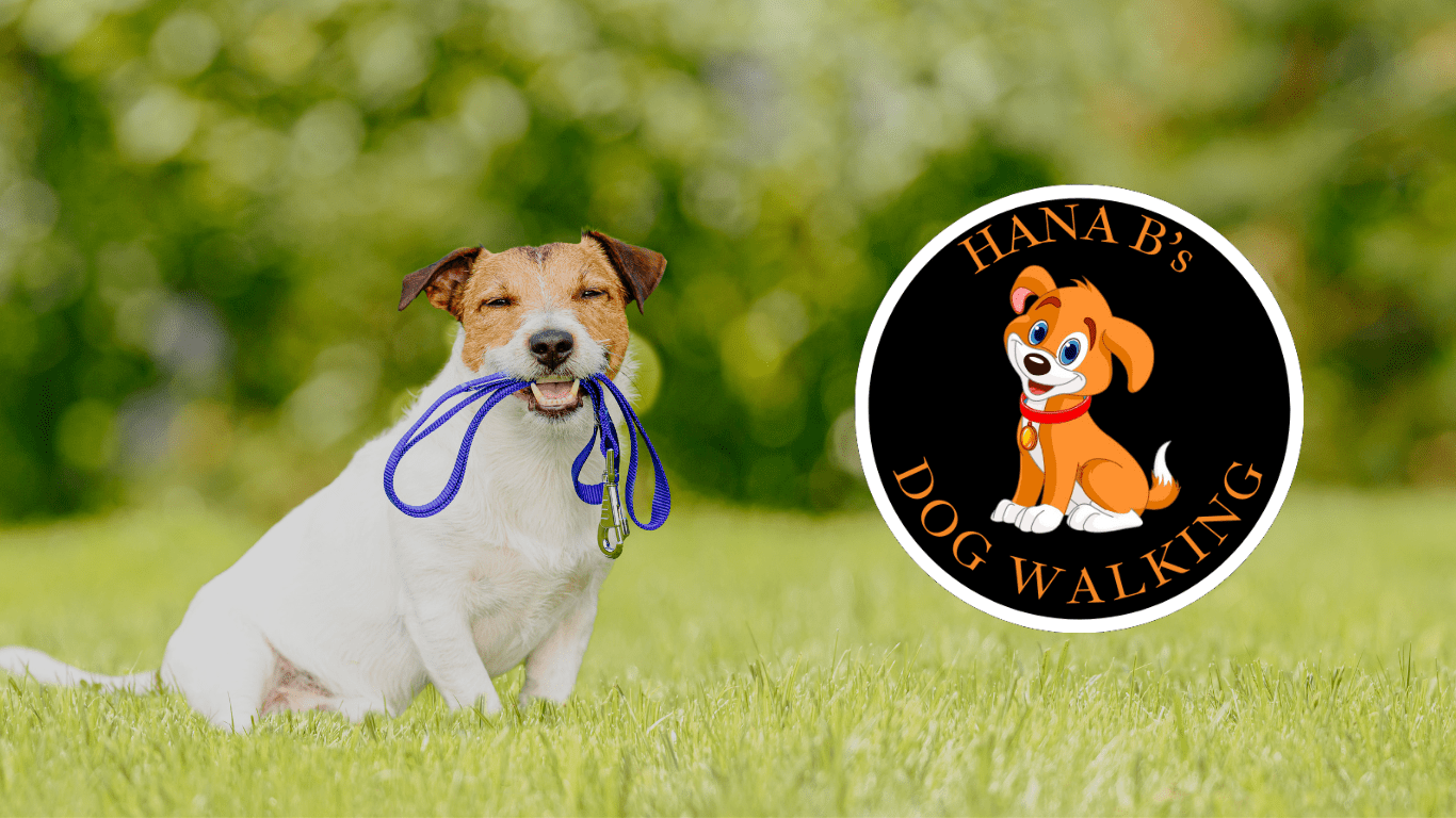 Hana B Dog Walking