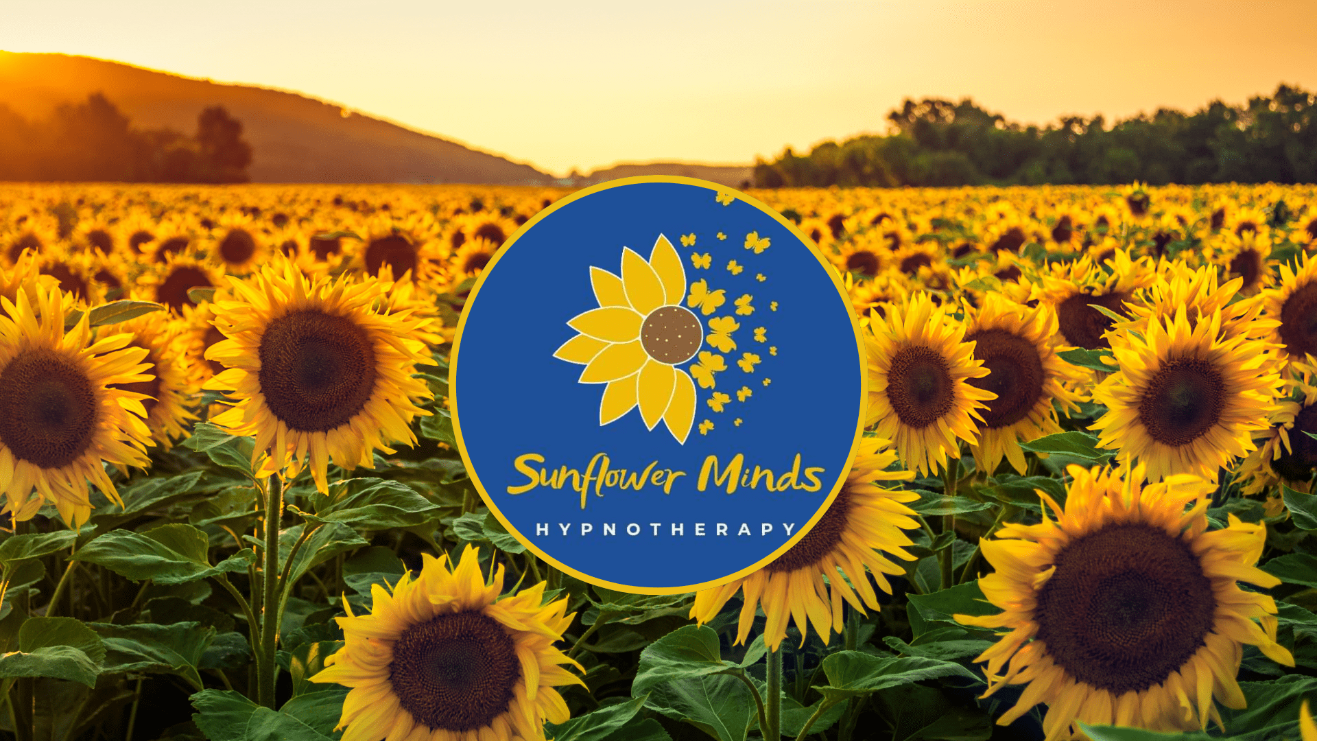 Banner for SM
