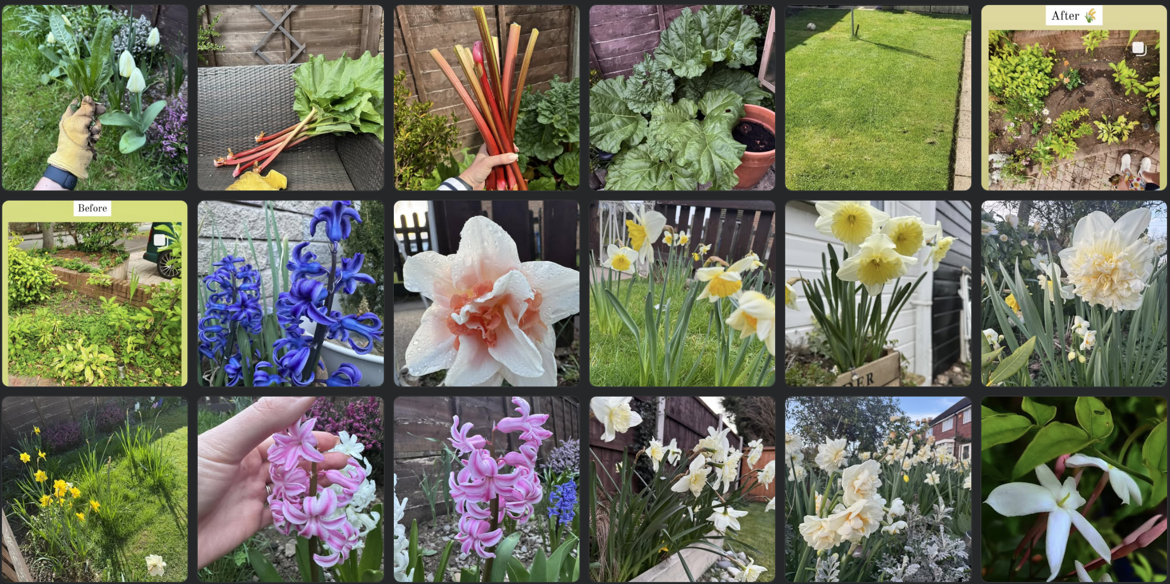 Gardener
