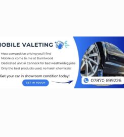 Dan’s Automotive Detailing
