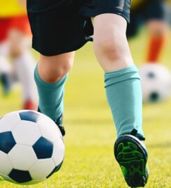 Midland Soccer Academy (MSA)
