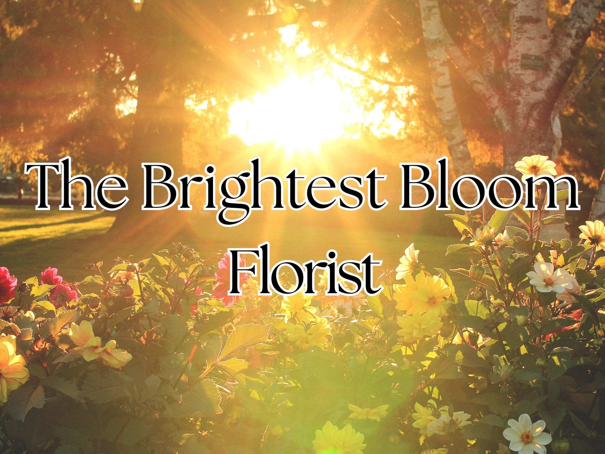 The Brightest Bloom Banner