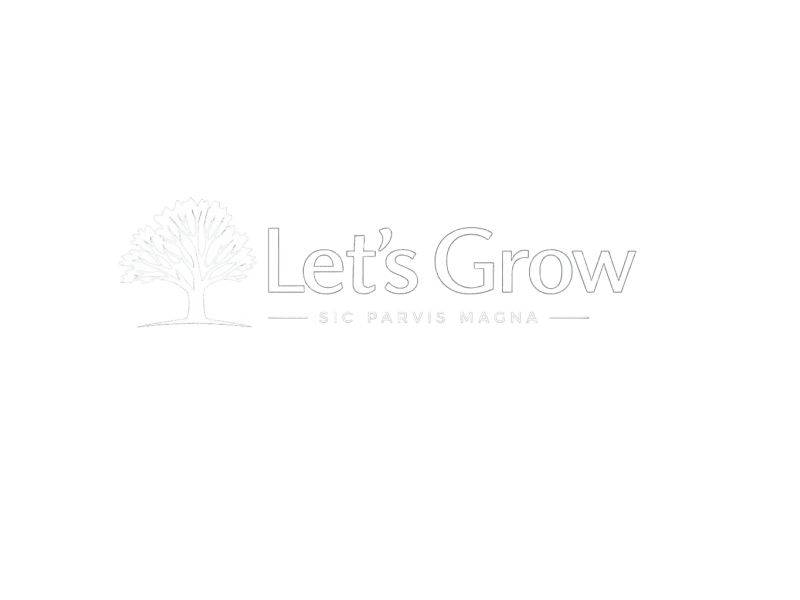 Let’s Grow – Business Growth Support